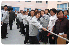 Top1体育 - 专业体育资讯与赛事分析平台